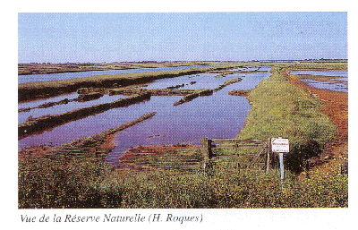 Reserv3.gif - 80.67 K